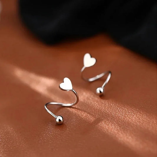 2pcs Stainless Steel Spiral Twisted Stud Earrings